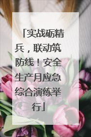 实战砺精兵，联动筑防线！安全生产月应急综合演练举行