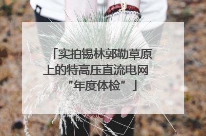 实拍锡林郭勒草原上的特高压直流电网“年度体检”