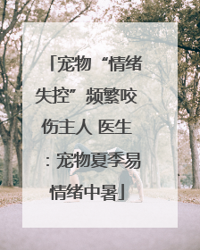 宠物“情绪失控”频繁咬伤主人 医生：宠物夏季易情绪中暑