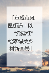 宣威市凤凰街道：以“党建红”绘就绿美乡村新画卷