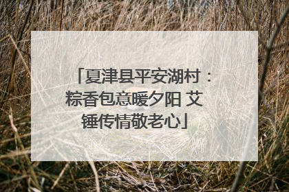 夏津县平安湖村：粽香包意暖夕阳 艾锤传情敬老心