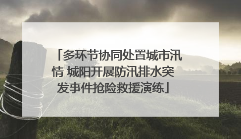 多环节协同处置城市汛情 城阳开展防汛排水突发事件抢险救援演练
