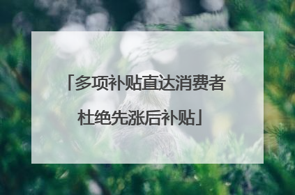 多项补贴直达消费者 杜绝先涨后补贴