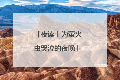 夜读丨为萤火虫哭泣的夜晚