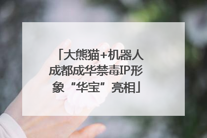 大熊猫+机器人 成都成华禁毒IP形象“华宝”亮相