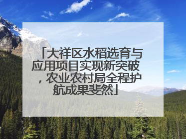 大祥区水稻选育与应用项目实现新突破，农业农村局全程护航成果斐然