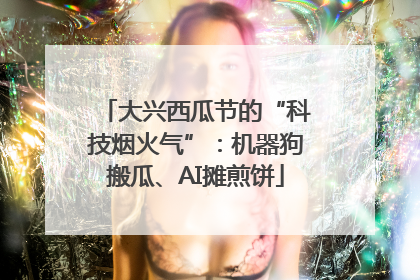 大兴西瓜节的“科技烟火气”：机器狗搬瓜、AI摊煎饼