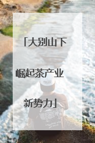 大别山下崛起茶产业新势力