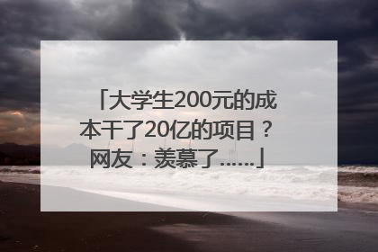 大学生200元的成本干了20亿的项目？网友：羡慕了……