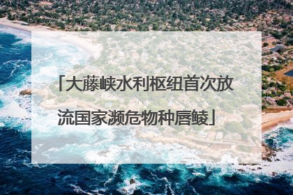 大藤峡水利枢纽首次放流国家濒危物种唇鲮