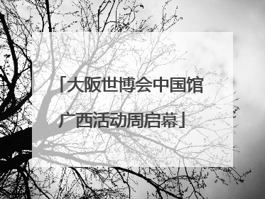 大阪世博会中国馆广西活动周启幕
