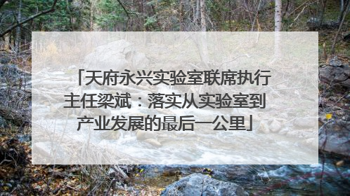天府永兴实验室联席执行主任梁斌：落实从实验室到产业发展的最后一公里