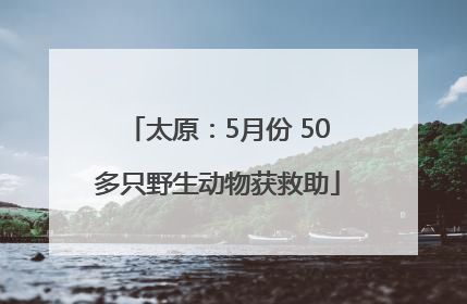 太原：5月份 50多只野生动物获救助