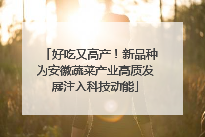 好吃又高产！新品种为安徽蔬菜产业高质发展注入科技动能