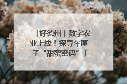 好德州丨数字农业上线！探寻车厘子“甜蜜密码”