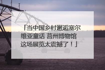 当中国乡村邂逅塞尔维亚童话 莒州博物馆这场展览太震撼了！