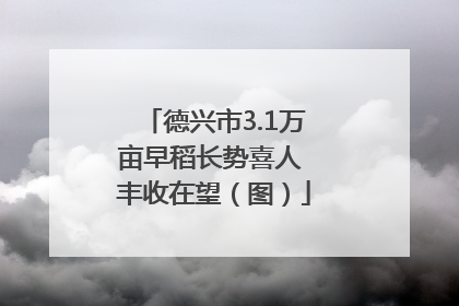 德兴市3.1万亩早稻长势喜人 丰收在望（图）