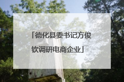 德化县委书记方俊钦调研电商企业