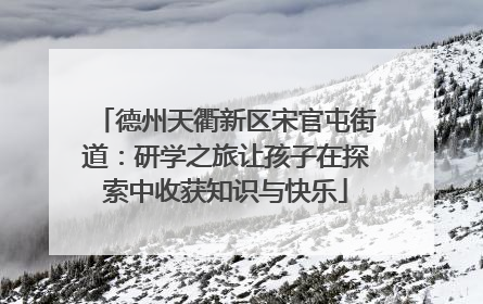 德州天衢新区宋官屯街道：研学之旅让孩子在探索中收获知识与快乐