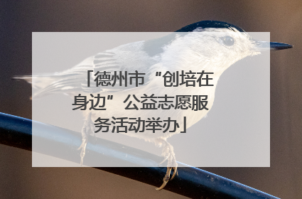 德州市“创培在身边”公益志愿服务活动举办