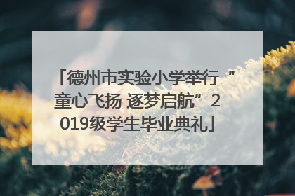 德州市实验小学举行“童心飞扬 逐梦启航”2019级学生毕业典礼