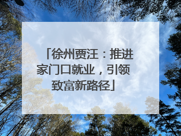 徐州贾汪：推进家门口就业，引领致富新路径