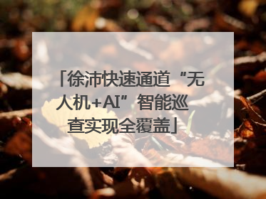 徐沛快速通道“无人机+AI”智能巡查实现全覆盖