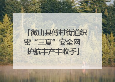 微山县傅村街道织密“三夏”安全网 护航丰产丰收季