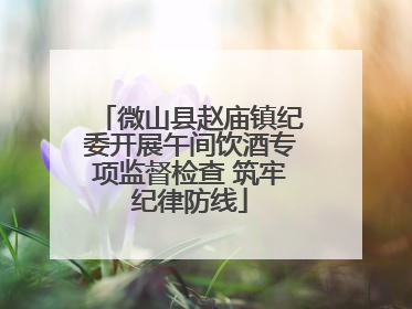 微山县赵庙镇纪委开展午间饮酒专项监督检查 筑牢纪律防线