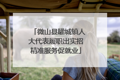 微山县驩城镇人大代表履职出实招精准服务促就业
