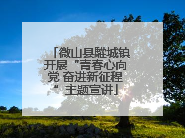 微山县驩城镇开展“青春心向党 奋进新征程”主题宣讲