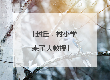 封丘：村小学来了大教授