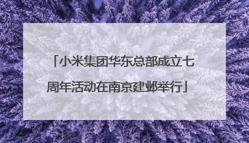 小米集团华东总部成立七周年活动在南京建邺举行