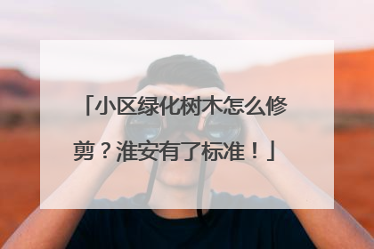 小区绿化树木怎么修剪？淮安有了标准！