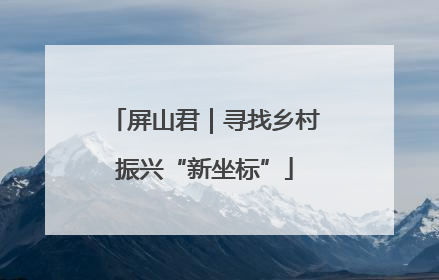 屏山君｜寻找乡村振兴“新坐标”