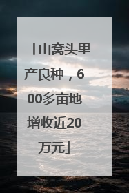 山窝头里产良种，600多亩地增收近20万元
