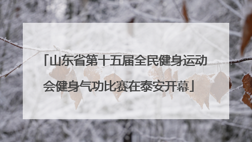 山东省第十五届全民健身运动会健身气功比赛在泰安开幕
