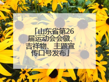 山东省第26届运动会会徽、吉祥物、主题宣传口号发布