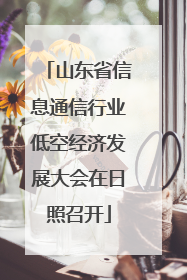 山东省信息通信行业低空经济发展大会在日照召开