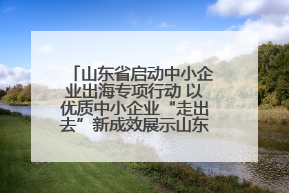 山东省启动中小企业出海专项行动 以优质中小企业“走出去”新成效展示山东产业发展新形象