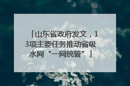 山东省政府发文，13项主要任务推动省级水网“一网统管”