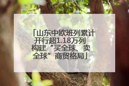 山东中欧班列累计开行超1.18万列 构建“买全球、卖全球”商贸格局
