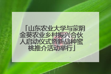 山东农业大学与蒙阴金葵农业乡村振兴合伙人启动仪式暨新品种蜜桃推介活动举行