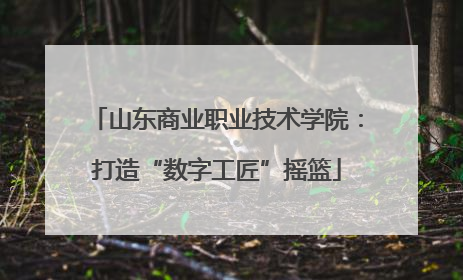 山东商业职业技术学院：打造“数字工匠”摇篮