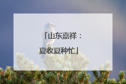山东嘉祥：夏收夏种忙