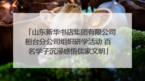 山东新华书店集团有限公司桓台分公司组织研学活动 百名学子沉浸感悟儒家文明