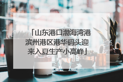 山东港口渤海湾港滨州港区港华码头迎来入夏生产小高峰