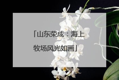 山东荣成：海上牧场风光如画