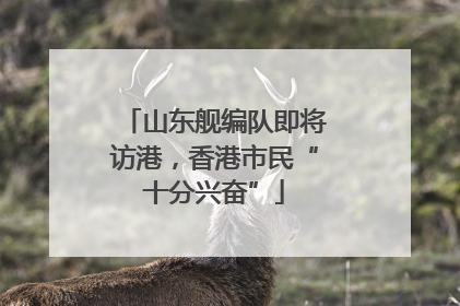 山东舰编队即将访港，香港市民“十分兴奋”