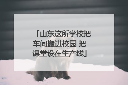 山东这所学校把车间搬进校园 把课堂设在生产线